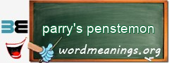 WordMeaning blackboard for parry's penstemon